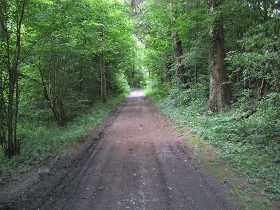 Rural 